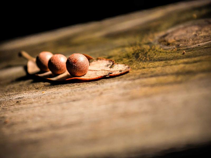 Amasya Dijital Dönüşüm Hizmetleri Çözümleri - İşletmenizi Zirveye Taşıyın